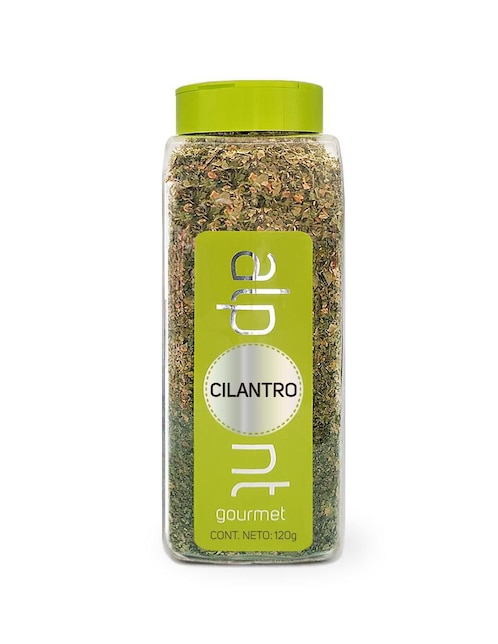 Cilantro 120 g 1