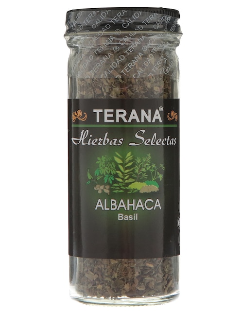 Albahaca 1