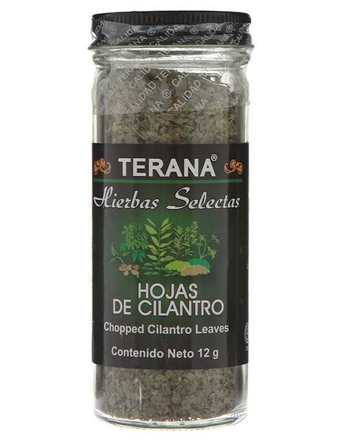 Hojas de cilantro 1