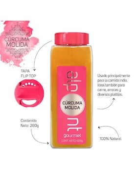 Cúrcuma molida Alpont 605 g