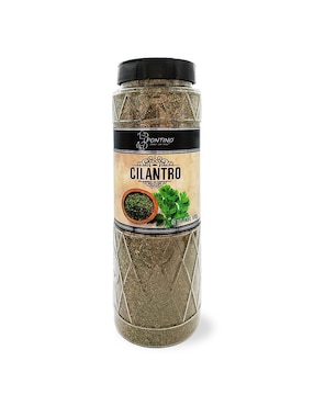 Cilantro Pontino 105 G