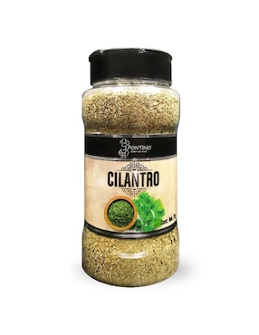 Cilantro Pontino 70 G