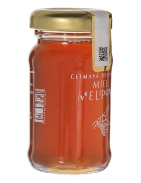 Miel melipona Ceimayá 82 g