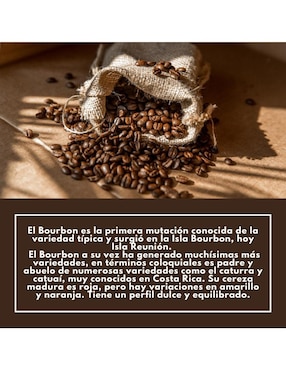 Café de grano sabor chocolate de Oaxaca Mandal Signature Miramar 750 g