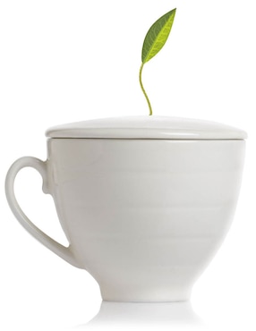 Taza Té Tea Forte