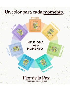Kit de té sabor frutal y floral en hoja Flor de la Paz 390 g