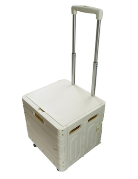 Carro de compras plegable HW Home