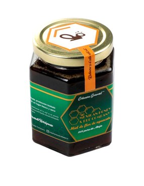 Miel floración de aguacate Mexican honey & bee company 350 g
