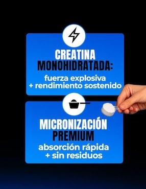 Creatina Monohidratada Micronizada de alta pureza en polvo rendimiento y fuerza Amarte Labs de 300 g
