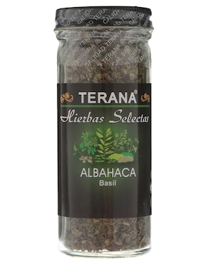 Albahaca Terana