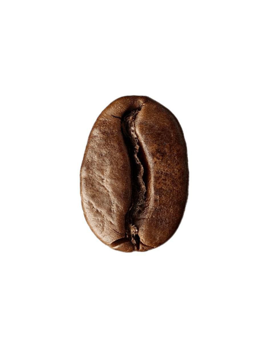 Café de grano sabor especias de México 250 g 4
