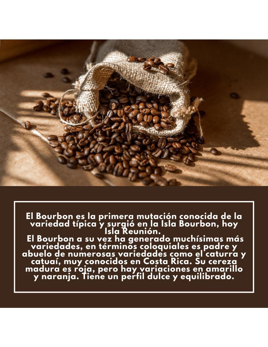 Café de grano sabor chocolate de Oaxaca Miramar 750 g 6