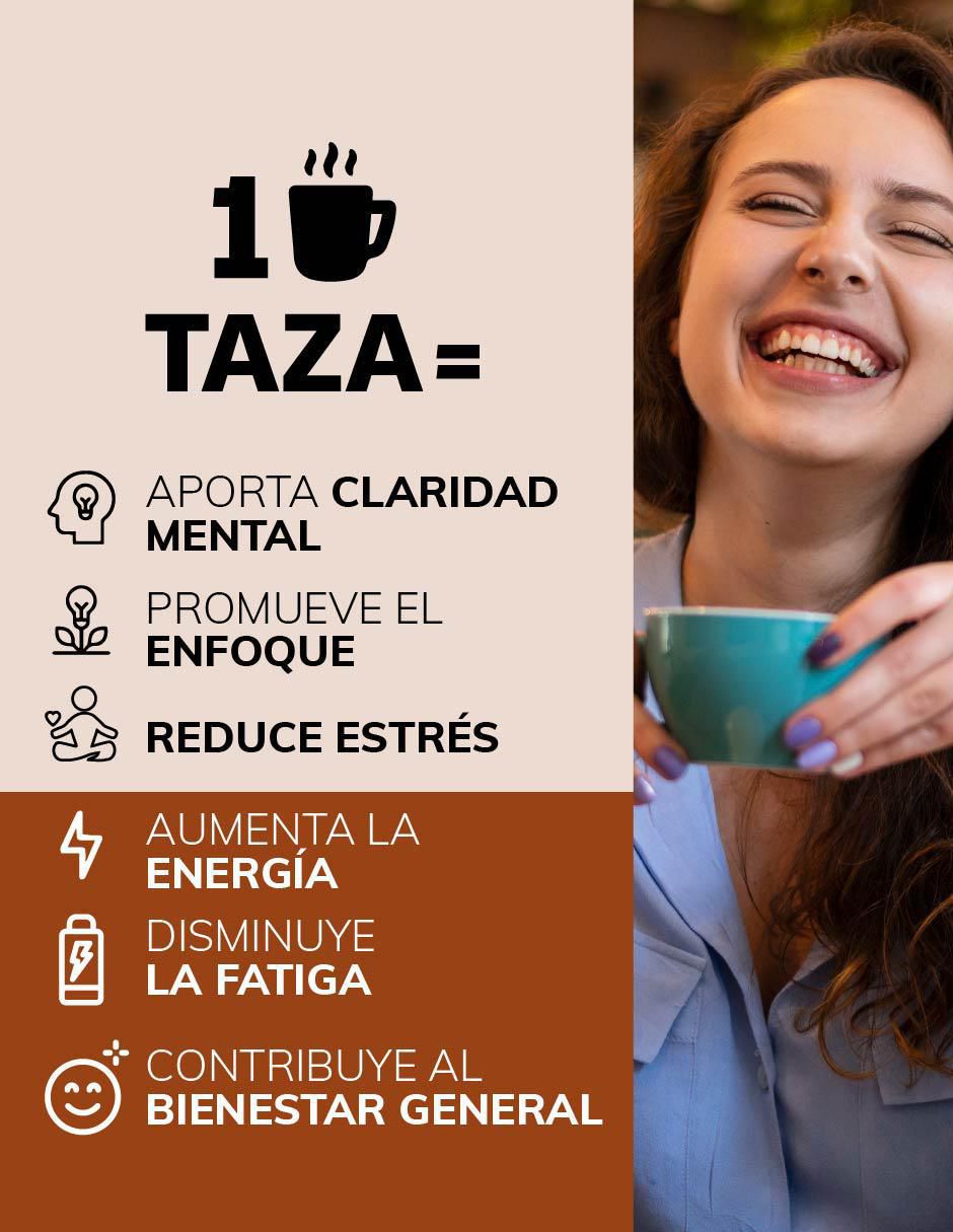Café soluble sabor moka de México 256.5 g 3
