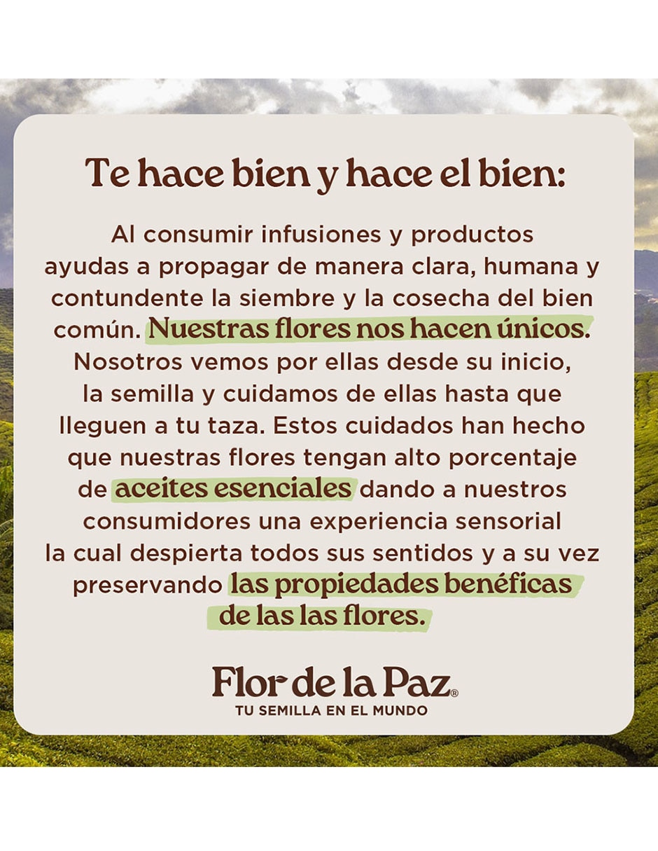 Kit de té sabor frutal y floral en hoja 390 g 4