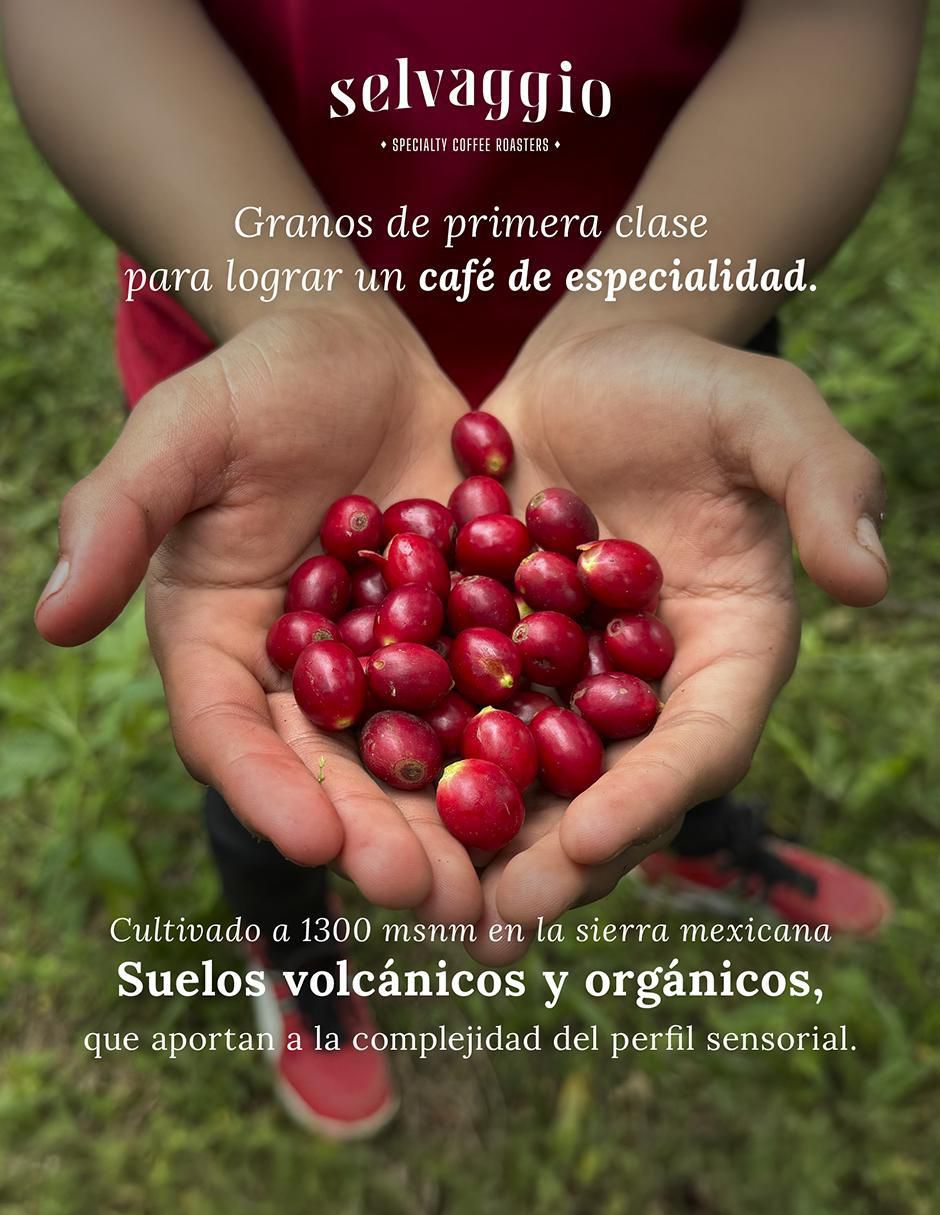 Café espresso de grano sabor especias de México 470 g 6