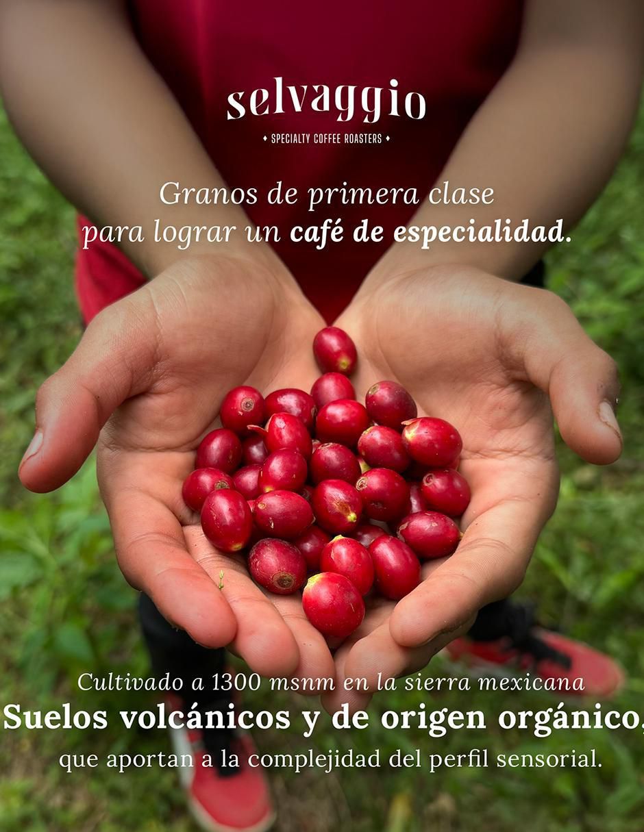 Set café de grano sabor especias de México 470 g 5