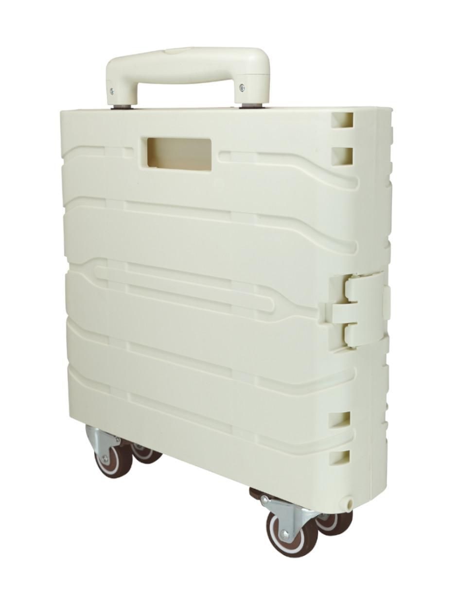 Carro de compras plegable 2