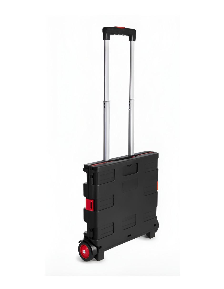 Carro de compras plegable 3
