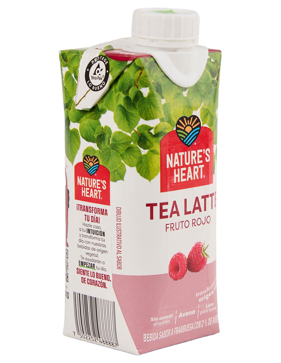 Bebida saborizada sabor frutos rojos 2