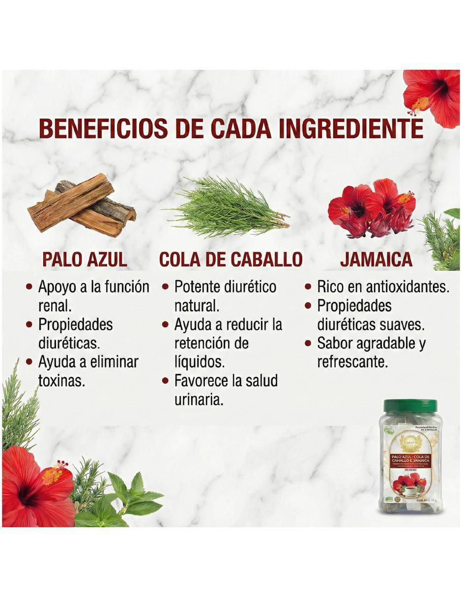 Tisana sabor jamaica en sachet 40 g 5